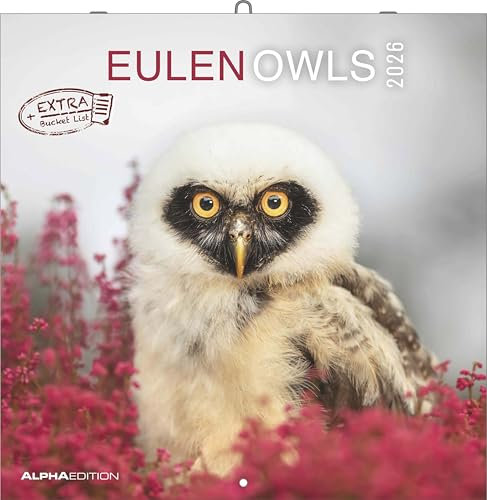 Alpha Edition - Eulen 2026 Broschürenkalender, 30x30cm, Wandkalender mit Platz für Notizen und Termine, beeindruckende Eulen-Motive, Monatsübersicht und Ferientermine DE/AT/CH: Owls