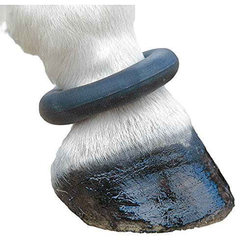 Shires