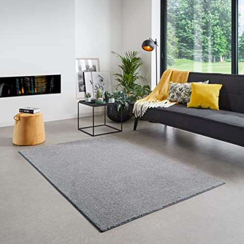 Carpet Studio Maine Teppich Grau, Teppich Wohnzimmer 190x290 cm, Kurzflor Teppiche, Wohnzimmerteppich, Teppich Schlafzimmer