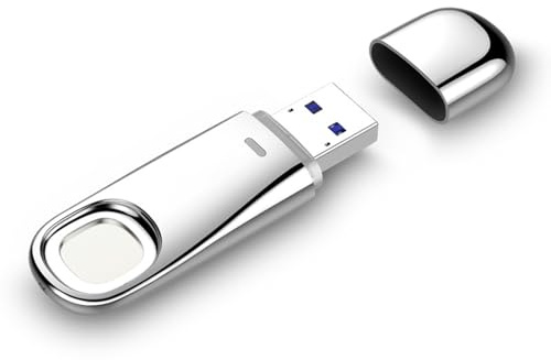 USB Flash Drive, 128GB Type C USB3.0 USB Flash Drive Dual Port Metal Fingerprint Encryption U Disk for Smartphone PC Laptop,128GB
