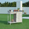casa.pro Pflanztisch Aliano Gärtnertisch mit verzinkter Arbeitsplatte Gartenarbeitstisch mit Unterschrank Gartenregal Tannenholz Grau Outdoor Blumentisch 98 x 48 x 94 cm Holztisch