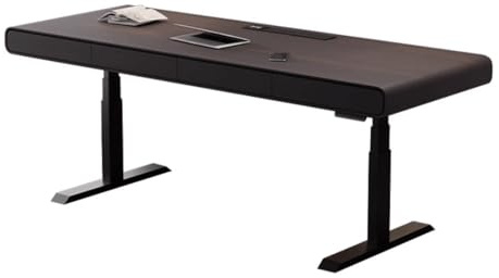 ZENGXJYCQINGJIANG Gaming Desk Height Adjustable Laptop PC Desk with Drawers, Electric Standing with 2 Memory Heights, Charging Outlets(XL)
