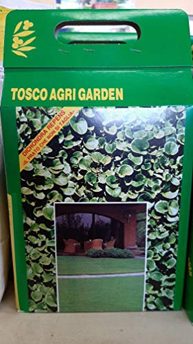 SEME DICHONDRA REPENS X 1KG ''IL PRATO CHE NON SI TAGLIA''