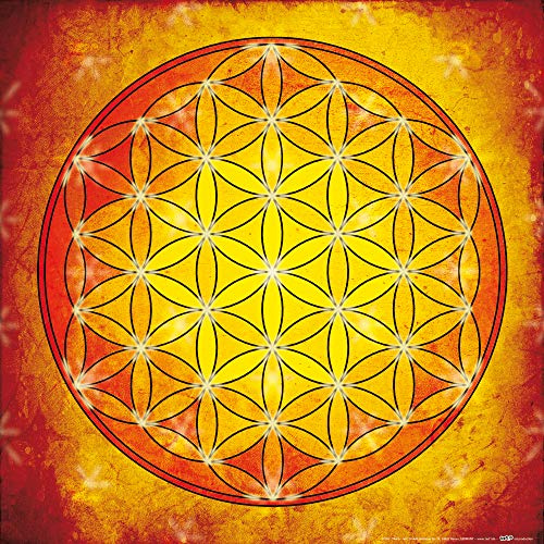 1art1 Mandalas Poster Die Blume des Lebens, Element Feuer Kunstdruck Bild 40x40 cm