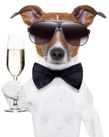 Edition Colibri CHICO - DAS PARTY-TIER: 6 St. Lustige Einladungskarten zum Kindergeburtstag / Geburtstag / Party / Jubiläum / Silvester - inkl. 6 Briefumschlägen
