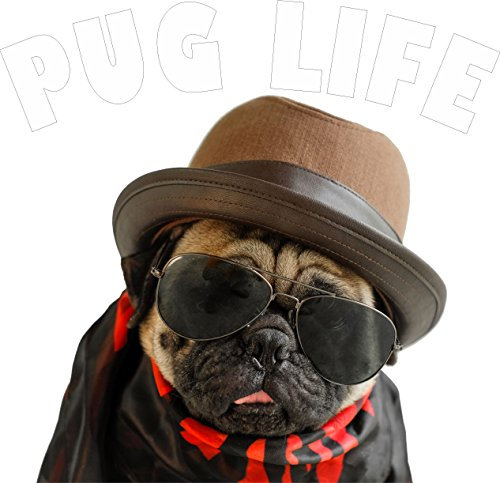 Aufkleber Autoaufkleber - JDM Die cut Auto OEM - Mops Leben - Pugs Life - 100x100mm - Der Kultaufkleber für Möpse - Auto Laptop Tuning Sticker Heckscheibe LKW Boot Auto Laptop Tuning Sticker Heckscheibe LKW