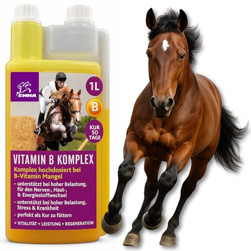 EMMA Vitamin B Komplex Pferd 1 L – hochdosiert mit Vitamin B12 B1 B2 B6 | & Lysin – B-Vitamine für Nerven Immunsystem Muskulatur Stoffwechsel – Energie Booster Zusatzfutter bei Vitaminmangel