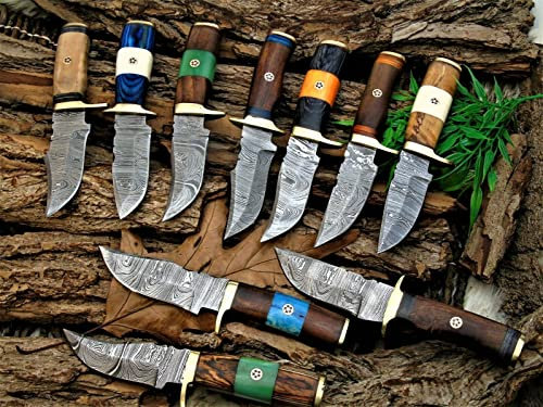 Damast Messer 10 stück Damaszener Stahl Jagd Knife Damascus Hunting Bowie CRS01