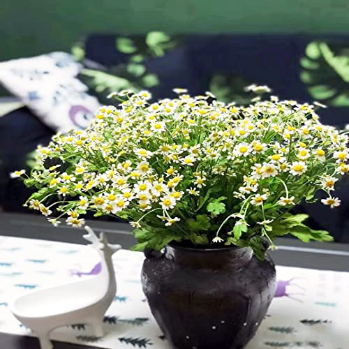 200 pezzi semi di camomilla perenne resistente fiori selvatici semi di piante giardino di erbe perenni da giardino prato di fiori piante da interno decorazione ufficio fiori
