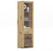 xonox.home Wohnen Fly X3FG1T10 Vitrine Schrank Glas Vitrine in Artisan Eiche Nb. Absetzung Eiche Ribbeck Nb. ca.57x190x34 cm
