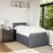 IKAYAA Boxspringbett 100x200 mit matratze und Topper Bett 100x200 mit matratze und lattenrost Polsterbett Einzelbett Schlafzimmer-Dunkelgrau-100 x 200 cm