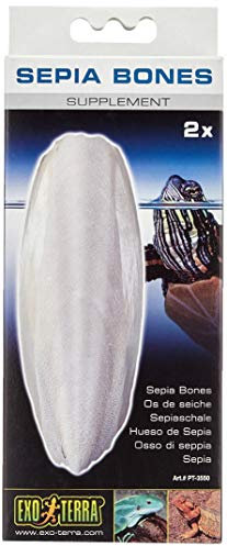 Exoterra Os de Seiche 2 Pièces pour Reptiles et Amphibiens