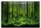 YOUTHINK Aquarium Hintergrund, Hintergrunddekor für Aquarien, Aquarium Dekoratives Plakat, Aquarium Rückwandfolie Papier Geeignet, Terrarium Rückwand (61 * 30cm)