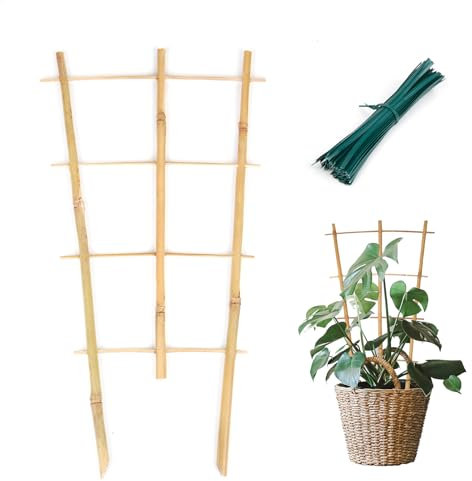 Cambaverd Plant Trellis Indoor 6 Pack Bamboo Trellis with Twist Ties, 16in Fan-Shaped Plant Trellises for Potted Plants Hoya Vines Monstera Houseplants