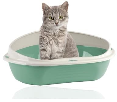 Rohrschneider Eckiges Katzenklo | Katzentoilette für große Katzen | Katzenklo mit hohem Rand | platzsparende Ecktoilette Katze | Katzenklo in modernen Design | Katzentoilette groß (Grün)