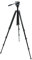 Celestron 82050 TrailSeeker-Stativ, schwarz