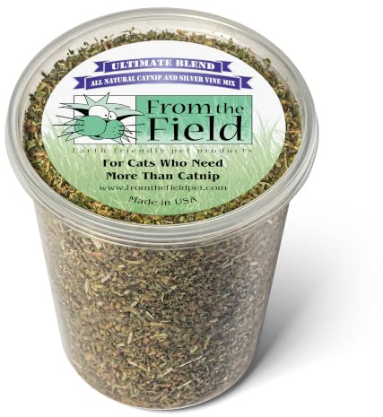 from The Field Ultimate Blend Katzenminze und Silberrebe, Premium-Katzenminze aus den USA für Spielzeug und Spielzeit, frisch, potent, ungiftig, umweltfreundlich, sicher für Kätzchen und Katzen