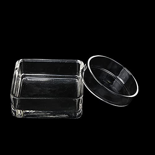 JIHUOO 2 Stück Aquarium Glas Feeder Fisch Garnele Fütterungsschale Aquarium Tank Fütterung Gericht Fische Panzer Futterschale