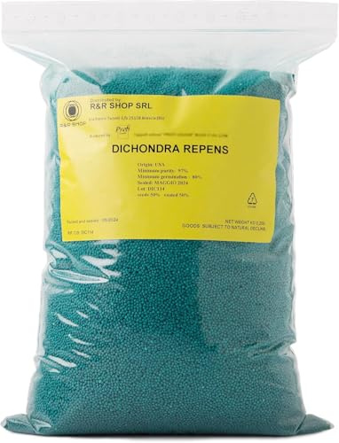 R&R SHOP - Semi Per Prato, Dichondra Repens, Origine Usa, Resistente E Decorativo (4500gr - 500mq)