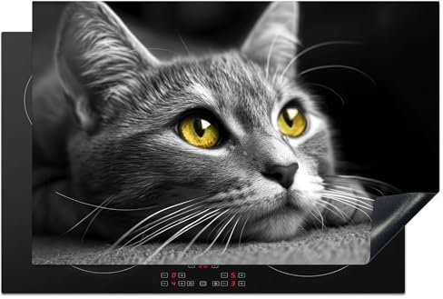 KitchenYeah© Protège Plaque Induction 80x52 cm Décoration Cuisine Protection Pour Plan De Travail Cuisson Protégé Chat - Gris - Animaux - Chat - 80x52 cm