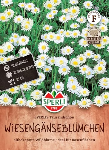 Sperli Wiesengänseblümchensamen SPERLI's Tausendschön 85369, Rasensaat | Wildblume für Blumenwiese, Blumensamen-Mischung, für Rasenflächen, Blumen