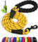 Taglory Laisse Chien Corde, Laisse pour Chien en Nylon avec Poignée Rembourrée Douce et des Fils réfléchissants, 120cm x 1.2cm, Jaune
