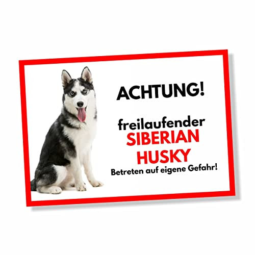 Husky Freilaufender Hund Dog Schild Spruch Türschild Hundeschild Warnschild Geschenkidee Sicherheitsschild Hund Privatgrundstück Hundewarnung Warnung vor dem Hund