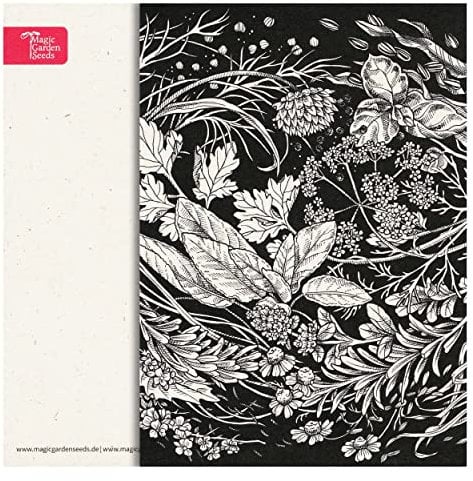 Magic Garden Seeds Grußkartenset Highlights - 10 Postkarten mit dem Motiv: Würziges aus der Welt der Küchenkräuter und Gewürpflanzen - Handgezeichnete schwarz-weiß Illustration