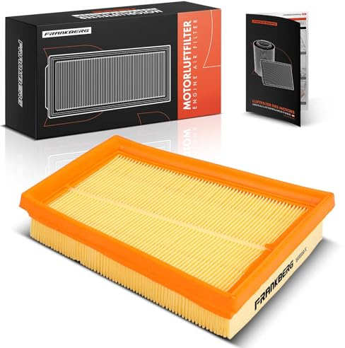 Frankberg Filtro aria Cartuccia filtrante Compatibile con Fusion JU 1.6 Fiesta V JD JH 1.6 TDCi Fusion JU 1.6 TDCi Fiesta V Van 1.6 TDCi Replace# 1338536,348 772