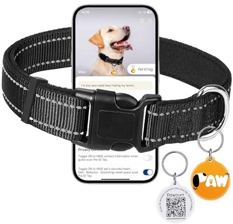 Halsband Hund Verstellbar,Weich Gepolstertes Neopren Nylon Hundehalsband für Mittelhunde und Großhunde,mit QR-Code-Hundemarke zur Verlustprävention,(M:2.5 cm breit, 35–50 cm lang),Schwarz