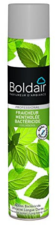 BOLDAIR Désodorisants Bactéricide Fraiche Menthe - Lot de 3