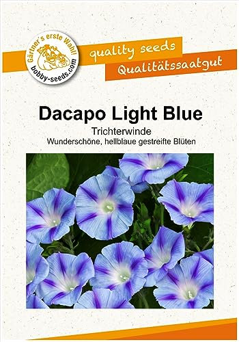Blumensamen Dacapo Light Blue Prunkwinde Portion