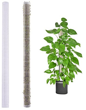 Pflanzstab Aus Kunststoff 50 cm, 2 Stück Monstera Rankhilfe Rankstab Stab Moosstab Pflanzenstab Für Pflanzen Mit 20 Kabelbinder, Pflanzstangen Für Kletterpflanzen Innen- Und Außenbereich