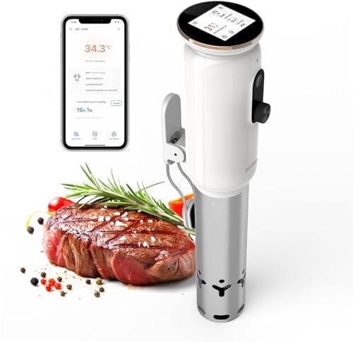 INKBIRD WiFi Thermoplongeur Sous Vide ISV-101W, Cuisson Basse Température 1000W: Écran TFT, Cuisson De Réservation App, Protection Du Niveau D'eau, Avertissement De Température, 0℃~95℃, Réglable 0,1℃