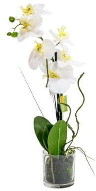 Generico Orchidea Bianca Artificial Natural Touch 53 cm – Pianta Finta Realistica in Vaso di Vetro, Decorazione Elegante per Casa e Ufficio