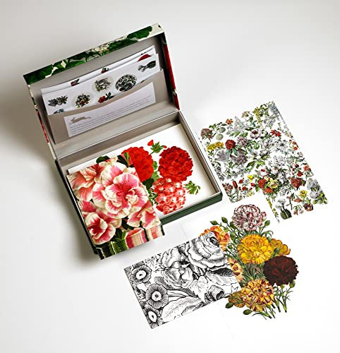 Flower Prints: Letter Writing Set / Briefpapier Set / Set de Correspondence: Letter Wrting Set - Briefpapier Set (PEPIN LETTER WRITING SETS)
