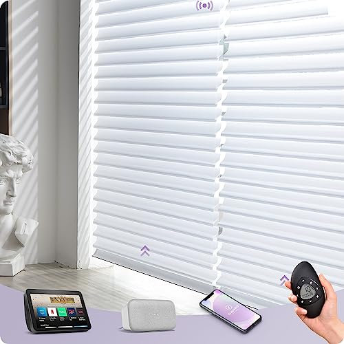 Graywind Customized Smart Shangrila Blinds with Rechargeable Motor, Light Filtering Electric Roller Blinds With Remote Control, Privacy Motorised Shades Compatible Alexa Google, 2.56 Wider White