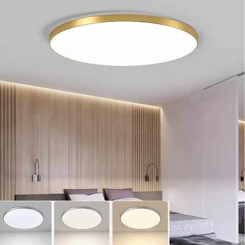 30W LED Deckenleuchte Flach Flur Deckenlampe Ultraslim Ø27x2cm 2700K Warmweiß 4000K Kaltweiß 6000K Golden Moderne Rund Schlafzimmerlampe Küchenlampe Led Lampen Badezimmer Wohnzimmer Korridor (30W)