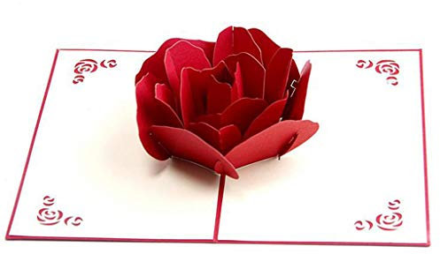 Glückwunschkarte Liebe Humorvolle Glückwunschkarte Pop-Up Karte Rosa Rosen für Freundin Frauen zum Geburtstag Hochzeit Jahrestag Wedding Card