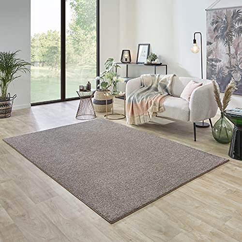 Carpet Studio Ohio Teppich Wohnzimmer 160x230cm, Weicher Kurzflor Teppich, Wohnzimmer, Esszimmer & Schlaffzimmer, Pflegeleicht, Geruchsneutral - Beige