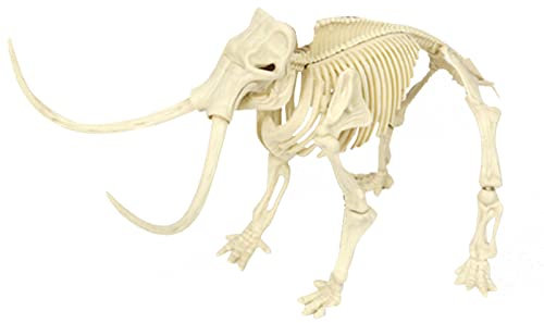 Stronrive Fossilien-Ausgrabungsset für Kinder | Kreative Dinosaurier-Ausgrabungssets | Pädagogisches Geschenk für Science Dino Sand Dig Par Favor