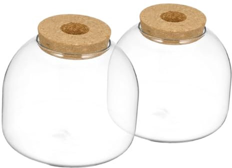 COLLBATH 2pcs Glass Terrarium Eco Bottle with Large Jar Lids for Succulent Plant Display
