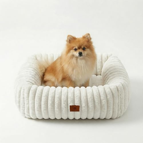 CareCooo Hundebett kleine & mittlere Hunde & Katzenbett, Weiß M 63x53x15