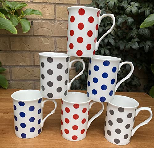 Tamersgifts Set of 6 Polka dot Mugs fine Bone China red Blue Grey