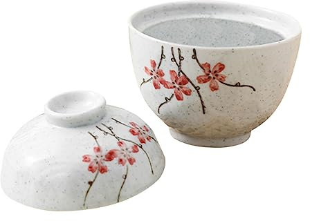 HOMSFOU 1 Satz Schmortopf Aus Keramik Asiatische Schüssel Japanische Tasse Schüssel Soba-schüssel Schüssel Mit Ramen-Nudeln Instant-Ramen-schüssel Udon-schüssel Küchenwaren Weiß Mit Deckel