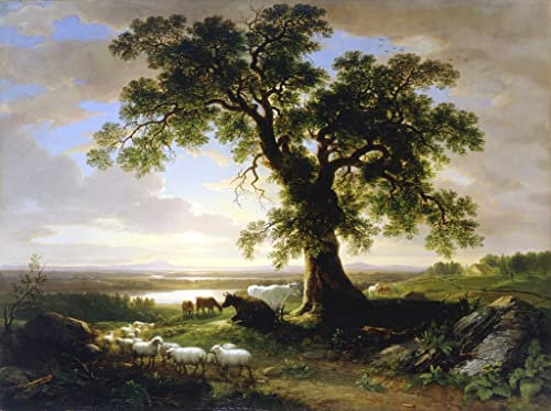 VsoxA Bekannt Leinwand Wandbilder Gemälde Wandkunst Die einsame Eiche die alte eiche von asher brown durand Wand-Kunst Bild für Wanddekoration 60x90cm