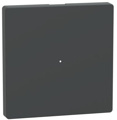 Schneider Electric Merten Wippe für Taster-Modul, 1-fach, Unterputz, System Design, anthrazit, Artikelnummer MEG5210-6034