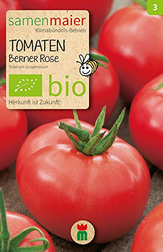 Samen Maier 818 Tomate Berner Rose (Fleischtomate) (Bio-Tomatensamen)