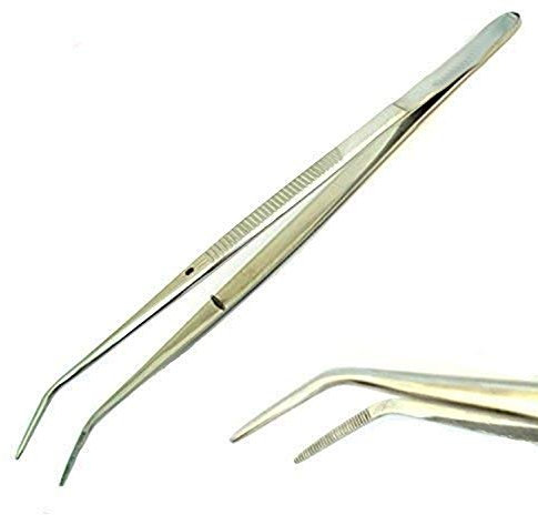 Pinzette curve per insetti animali in acciaio inox