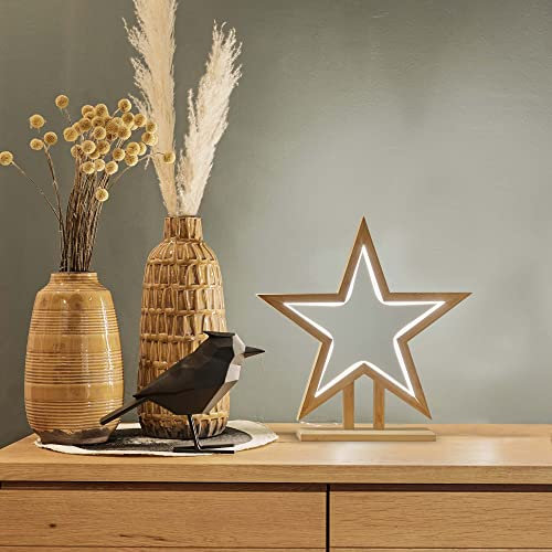 hellum LED Weihnachtsstern mt Lichtschlauch, klassisch warmweiß, 35cm, Weihnachtsdeko Innen, Kabel transparent, Bambus holzfarben, Zuleitung 3m, Weihnachtsbeleuchtung Innen 579246